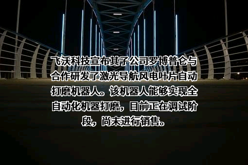 湖南飞沃新能源科技股份有限公司
