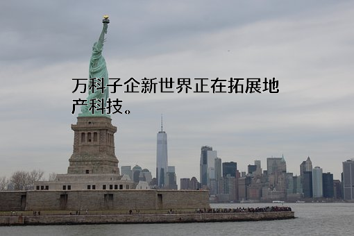 新世界发展有限公司
