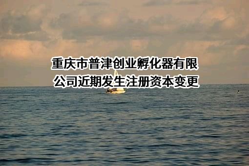 重庆市普津创业孵化器有限公司