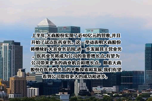大商集团有限公司