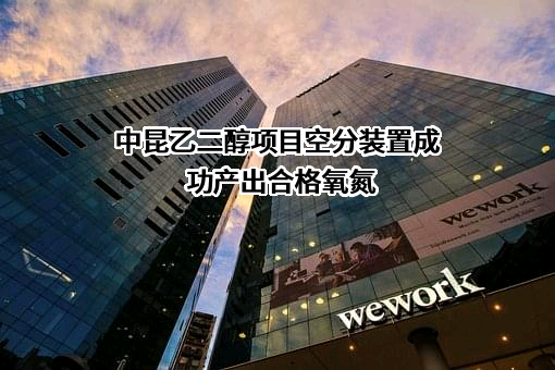 杭州杭氧控股有限公司