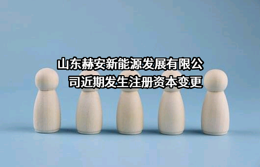 山东赫安新能源发展有限公司