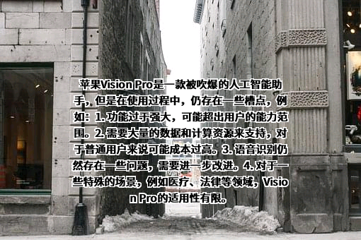 苹果公司