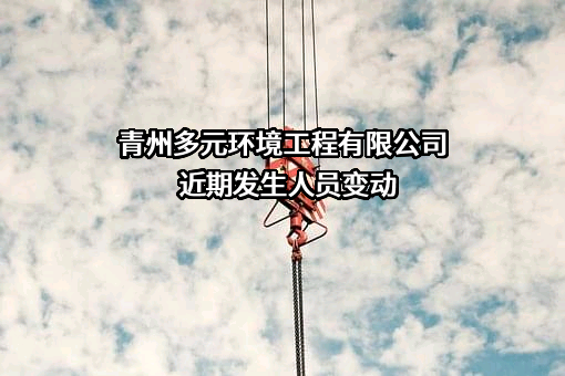 青州多元环境工程有限公司
