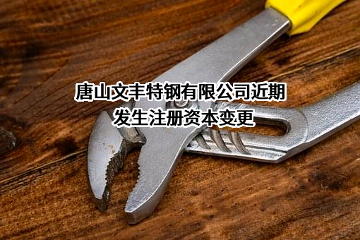 唐山文丰特钢有限公司