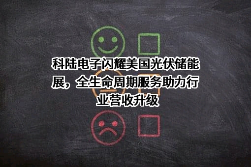 深圳市科陆电子科技股份有限公司