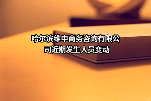 哈尔滨维申商务咨询有限公司