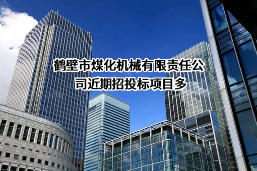 鹤壁市煤化机械有限责任公司