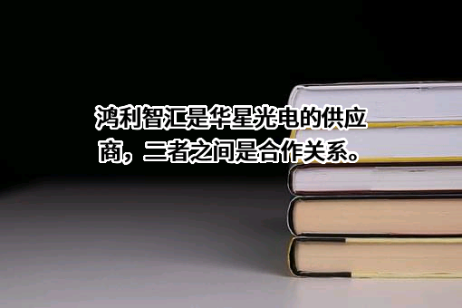 鸿利智汇集团股份有限公司