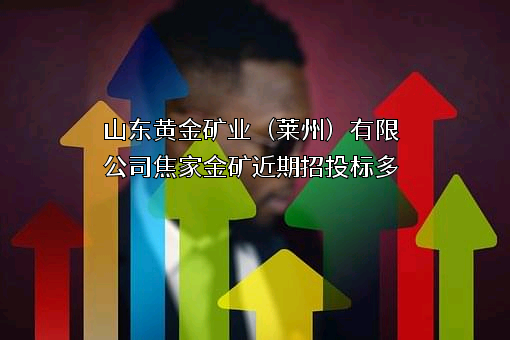 山东黄金矿业（莱州）有限公司焦家金矿