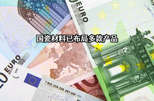 山东国瓷功能材料股份有限公司