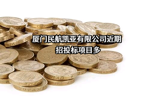 厦门民航凯亚有限公司