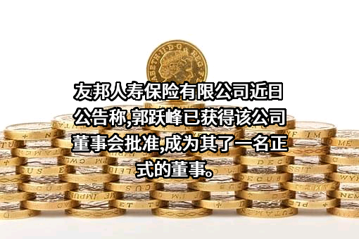 友邦人寿保险有限公司