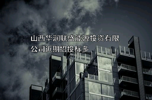 山西华润联盛能源投资有限公司