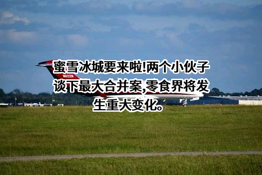 蜜雪冰城股份有限公司