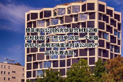 浙江博菲电气股份有限公司