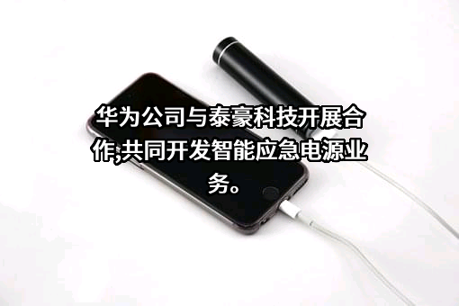 华为技术有限公司