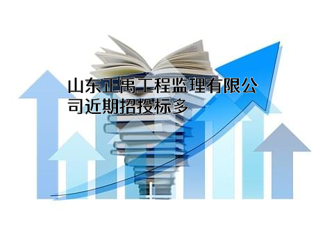 山东正禹工程监理有限公司