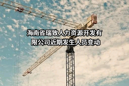 海南省瑞致人力资源开发有限公司