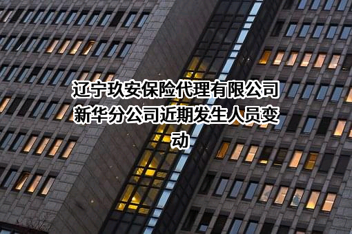 辽宁玖安保险代理有限公司新华分公司