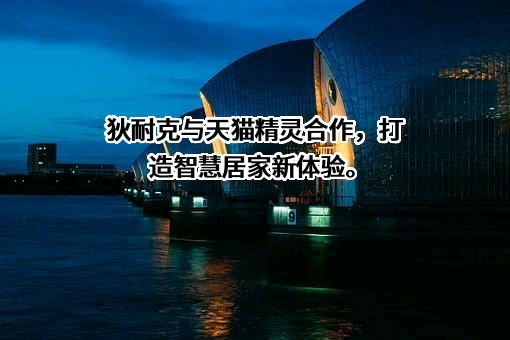厦门狄耐克智能科技股份有限公司