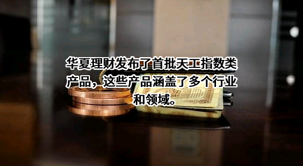 华夏理财有限责任公司