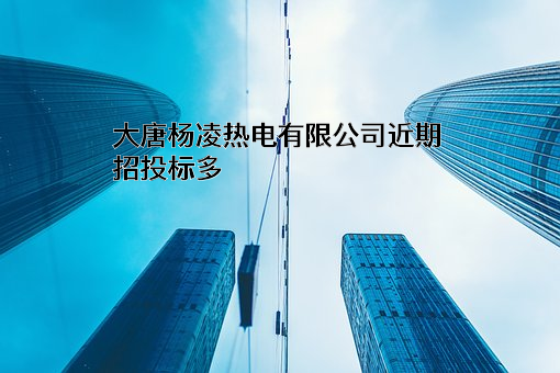 大唐杨凌热电有限公司