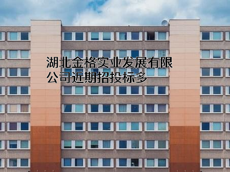 湖北金格实业发展有限公司