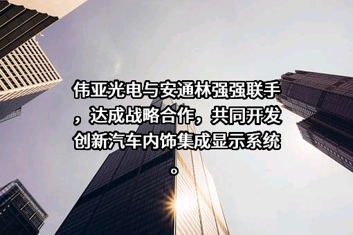 伟亚光电（苏州）有限公司