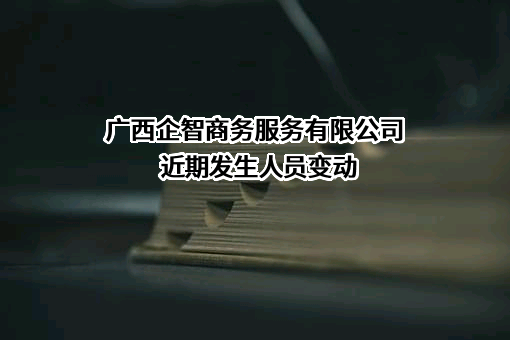 广西企智商务服务有限公司