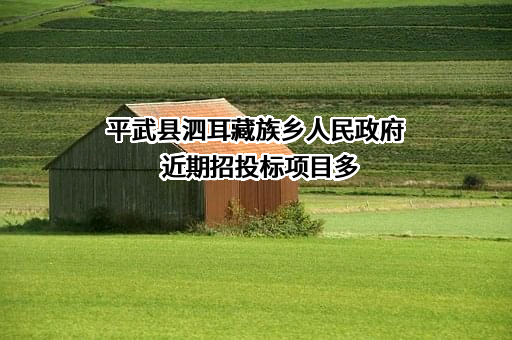 平武县泗耳藏族乡人民政府