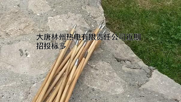 大唐林州热电有限责任公司