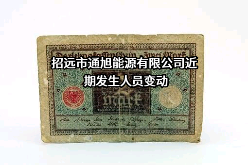 招远市通旭能源有限公司