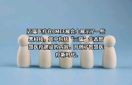 深圳迈瑞生物医疗电子股份有限公司