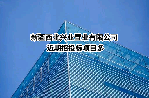 新疆西北兴业置业有限公司