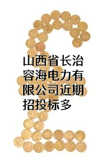 山西省长治容海电力有限公司