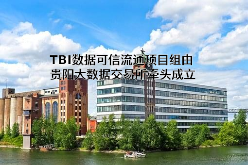 贵阳大数据交易所有限责任公司