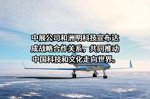 中国对外艺术展览有限公司