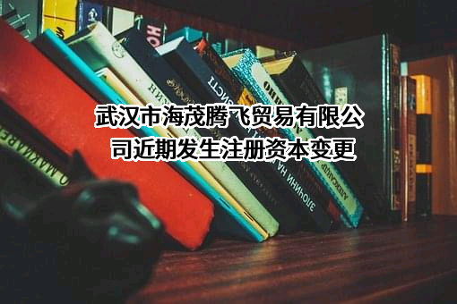 武汉市海茂腾飞贸易有限公司