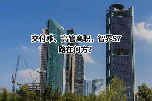 华为技术有限公司