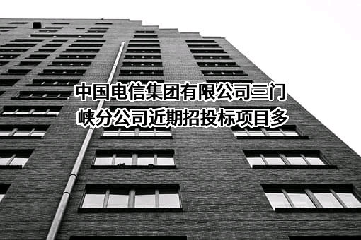 中国电信集团有限公司三门峡分公司