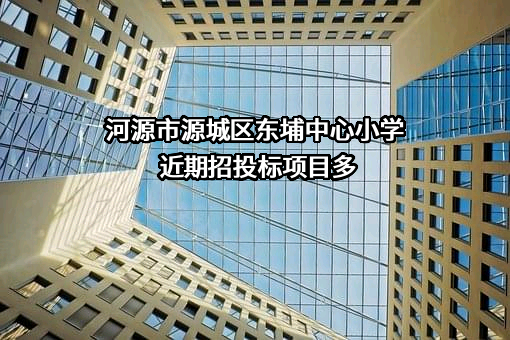 河源市源城区东埔中心小学近期招投标项目多