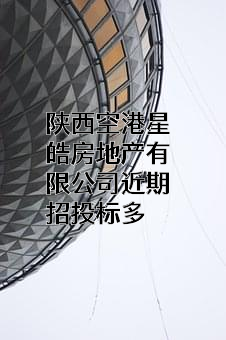 陕西空港星皓房地产有限公司