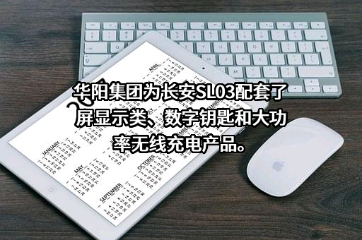 惠州市华阳集团股份有限公司