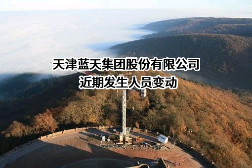 天津蓝天集团股份有限公司