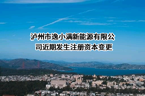 泸州市逸小满新能源有限公司