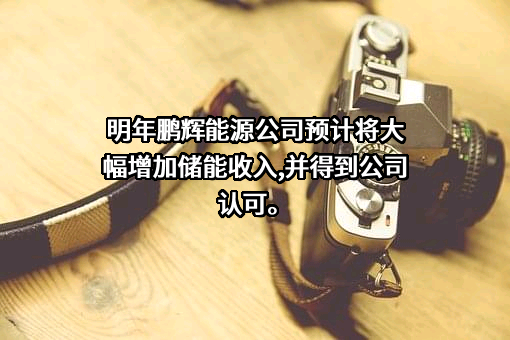 广州鹏辉能源科技股份有限公司