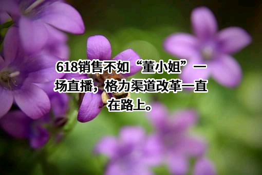 北京京东叁佰陆拾度电子商务有限公司