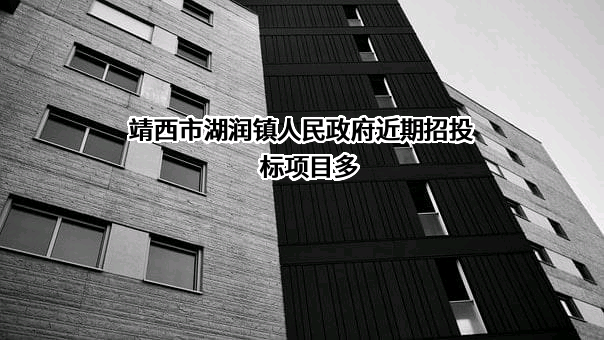 靖西市湖润镇人民政府