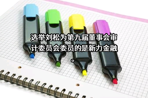 安徽新力金融股份有限公司